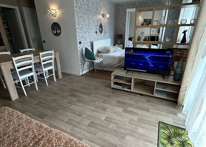 アパート Au Coeur Des Montagnes アルジュレス・ガゾスト